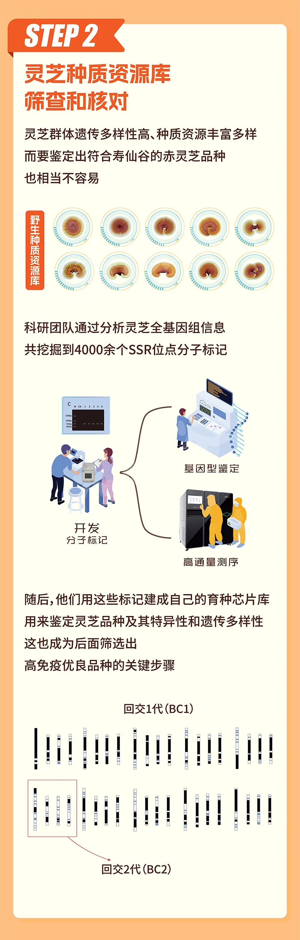浙江亿万先生医药股份有限公司